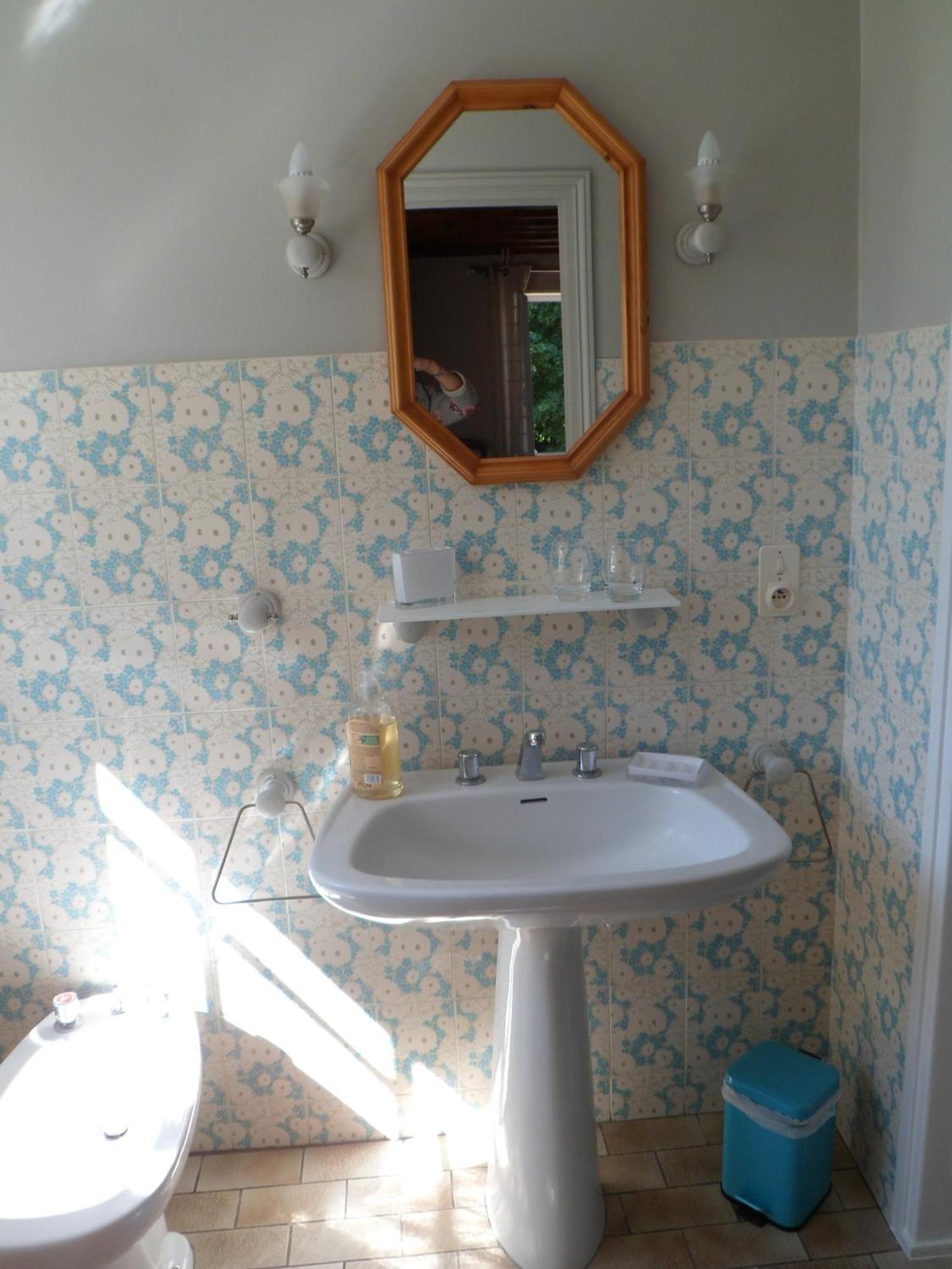 Domaine De La Helliere Hotel Lailly-en-Val Quarto foto